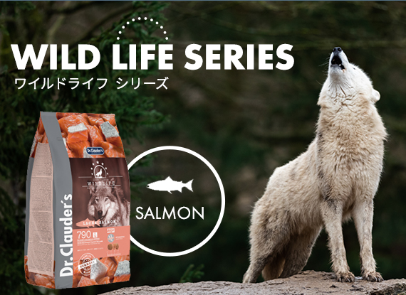 ベーシック・ネイチャー・エナジー 20kg（粒サイズ14mm） Dr.Clauder's