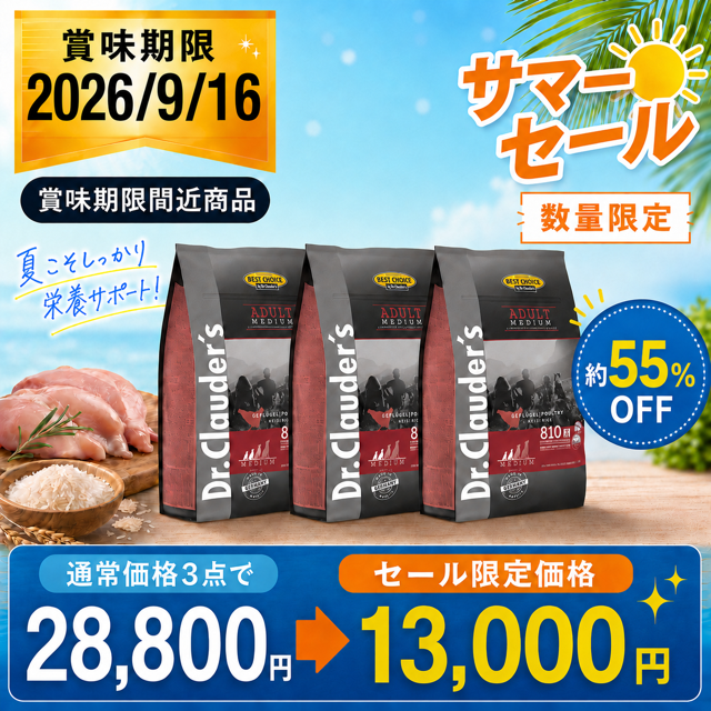 【SDGsセール】ベストチョイス・アダルトミディアム 4kg 3個セット（粒サイズ11mm）【賞味期限:2026年9月16日】